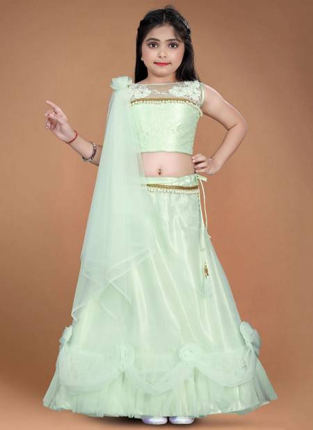 Light Green Colour Aaradhna 22 New Designer Festive Wear Heavy Net Latest Kids Lehenga Collection 197